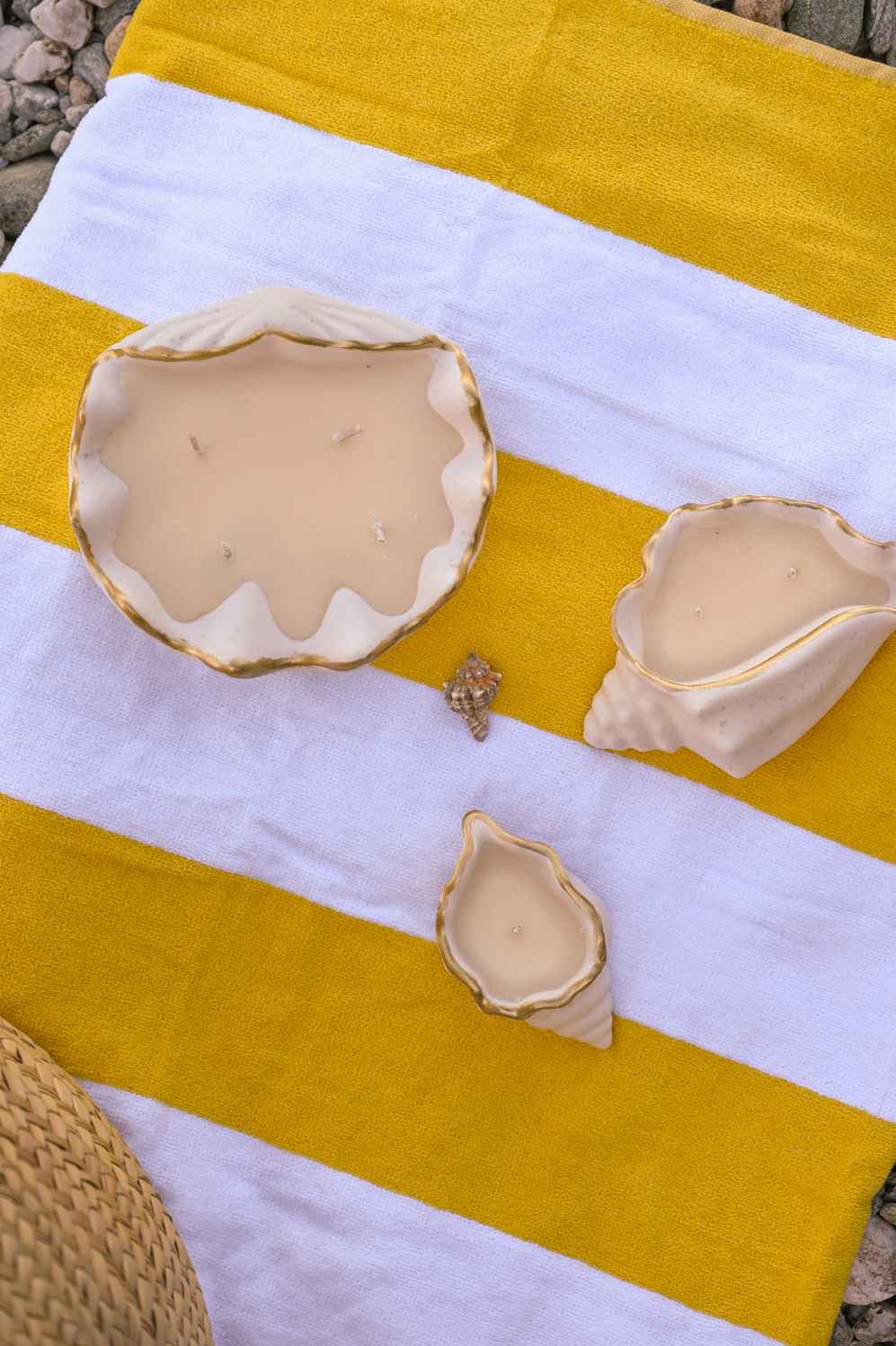 Scallop Shell Candle