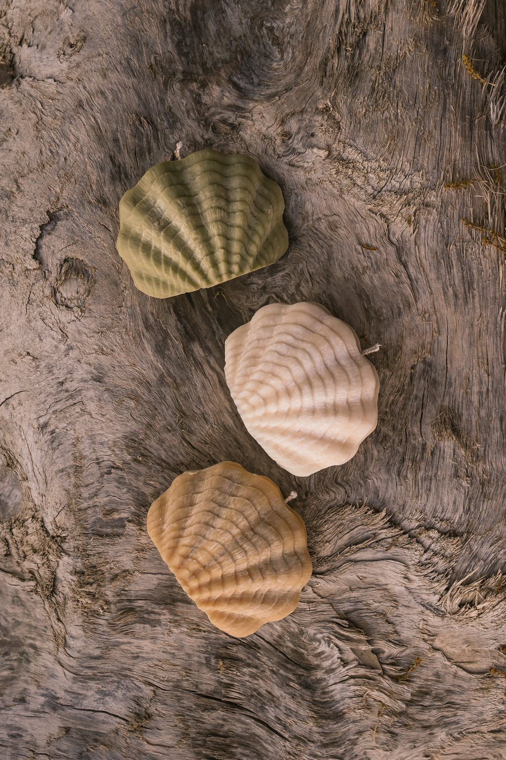 Seashell Candle