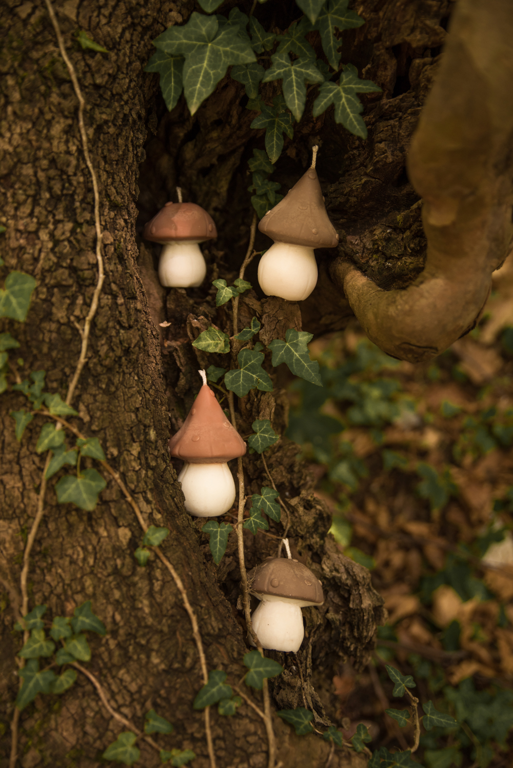 Mushroom Candle – Hearth