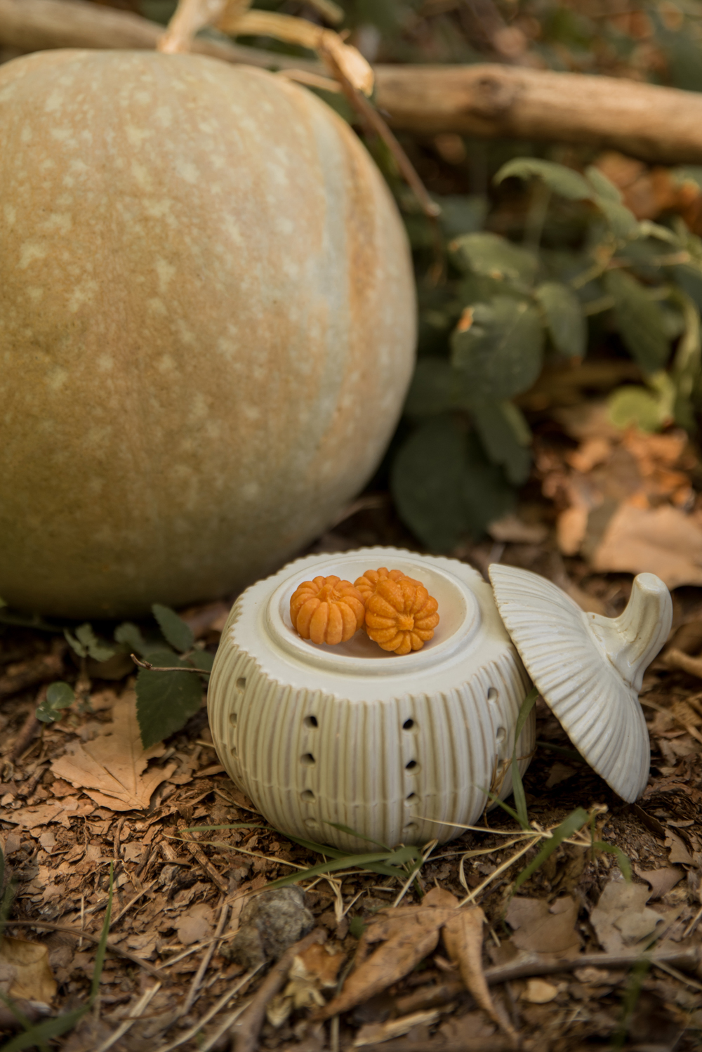 Wax Melt Bundle: Pumpkin Wax Melter + Mini Wax Melts